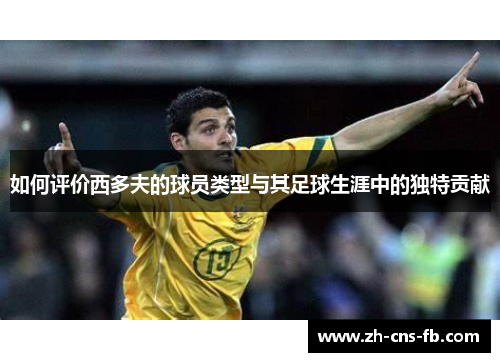 如何评价西多夫的球员类型与其足球生涯中的独特贡献