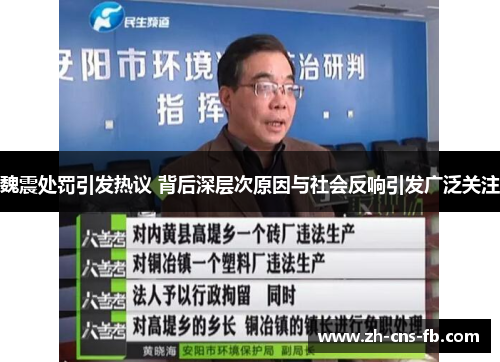 魏震处罚引发热议 背后深层次原因与社会反响引发广泛关注