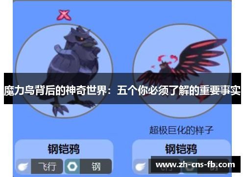 魔力鸟背后的神奇世界：五个你必须了解的重要事实