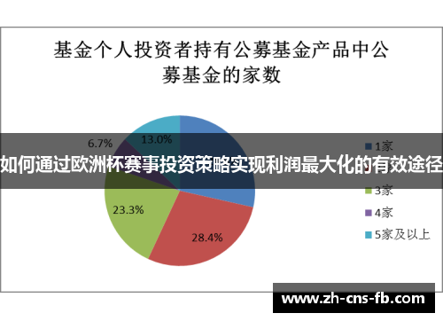 如何通过欧洲杯赛事投资策略实现利润最大化的有效途径
